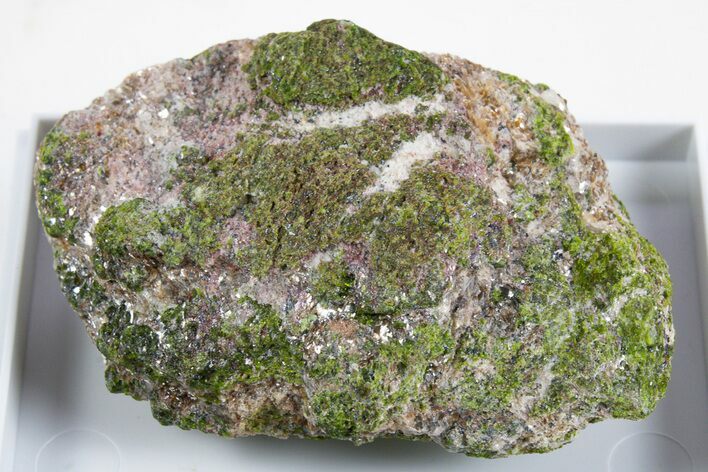 Sparkling Green Viridine with Mica - Greece #345733